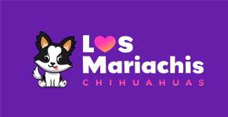 Los Mariachis (chihuahuas)